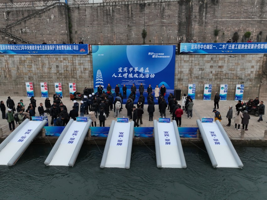 放流現(xiàn)場。宜賓市廣播電視臺供圖