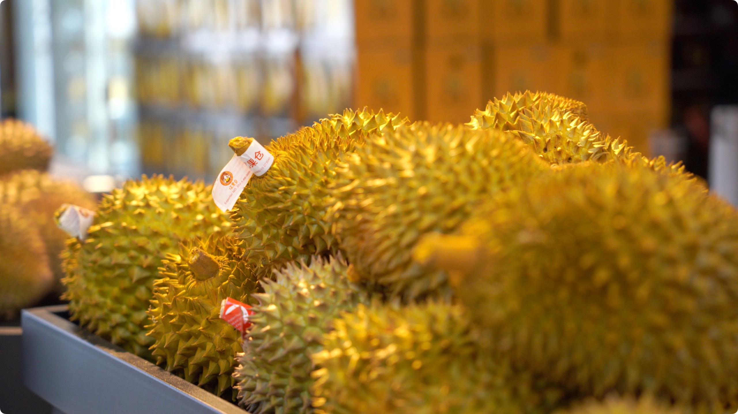 5月初，人民網(wǎng)記者申佳平攝